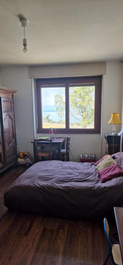 Appartamento Le Bellevue 2 Thonon-les-Bains Esterno foto