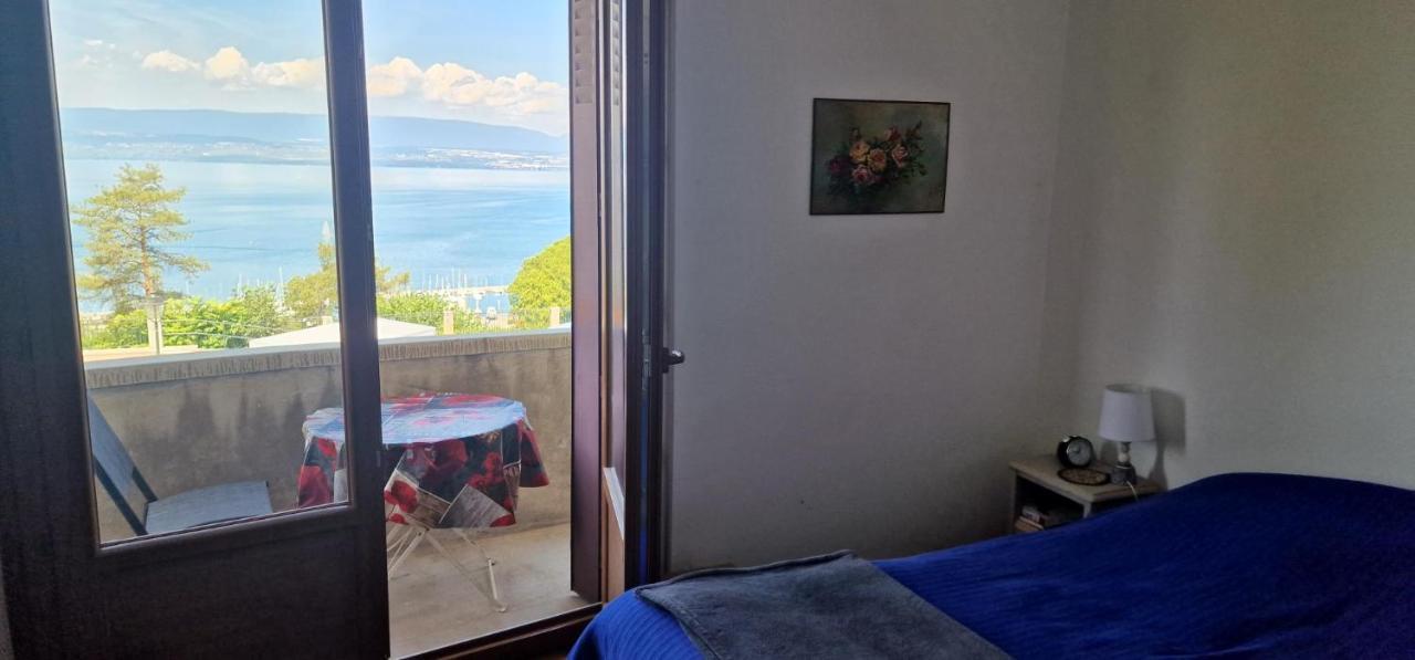 Appartamento Le Bellevue 2 Thonon-les-Bains Esterno foto